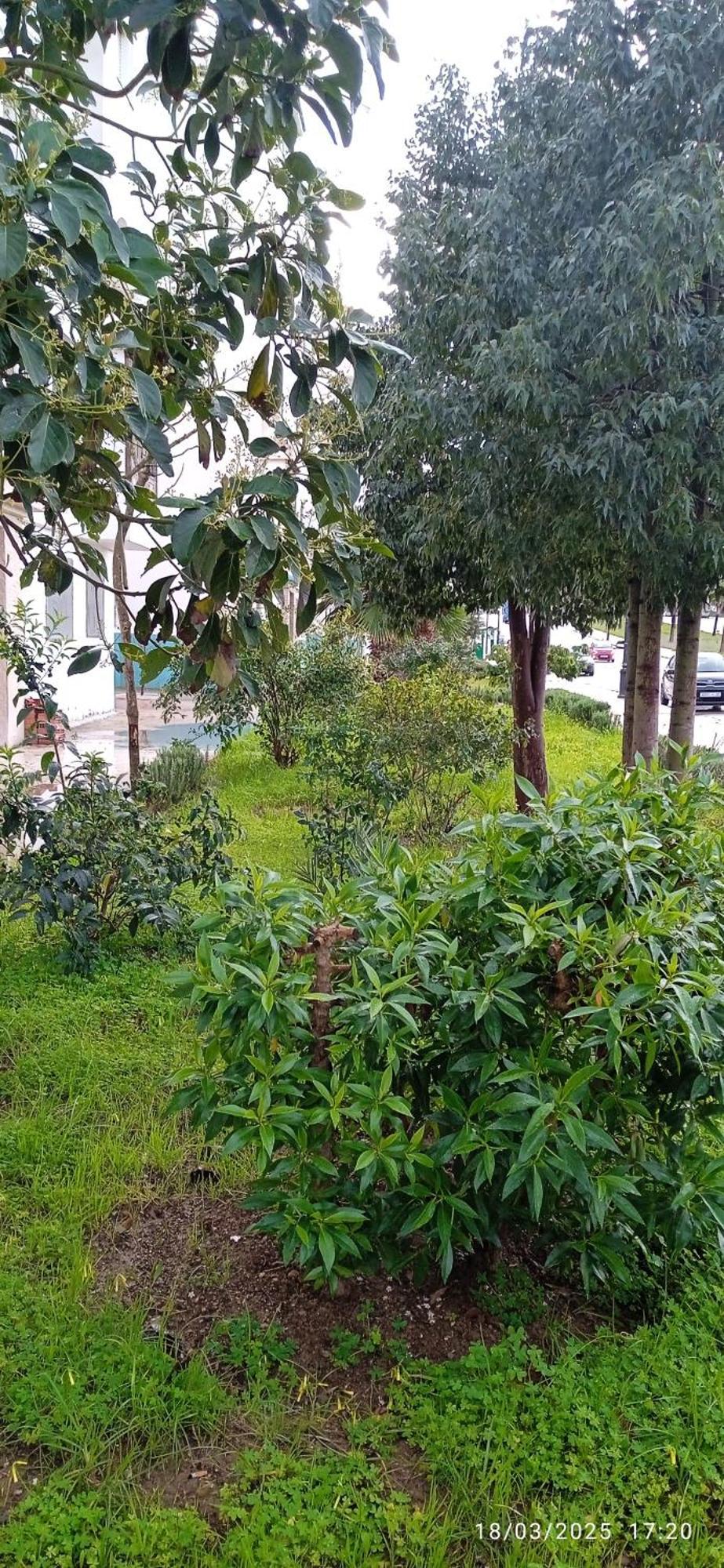 Cerca Del Aeropuerto Appartement *